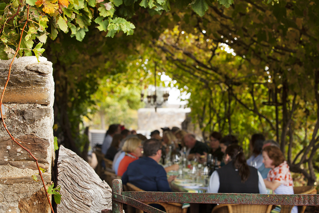 Visiting the winery